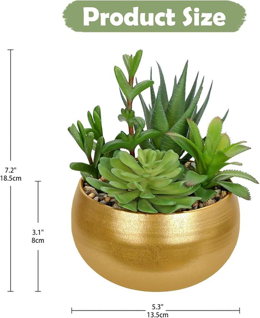 Hollyone Fake Plants Artificial Succulents in Pots Faux Succulent Arrangement Potted Plant with Gold Ceramic Planter Bowl for Home Decor Office Desk Bathroom Shelf Living Room Indoor Decorations
