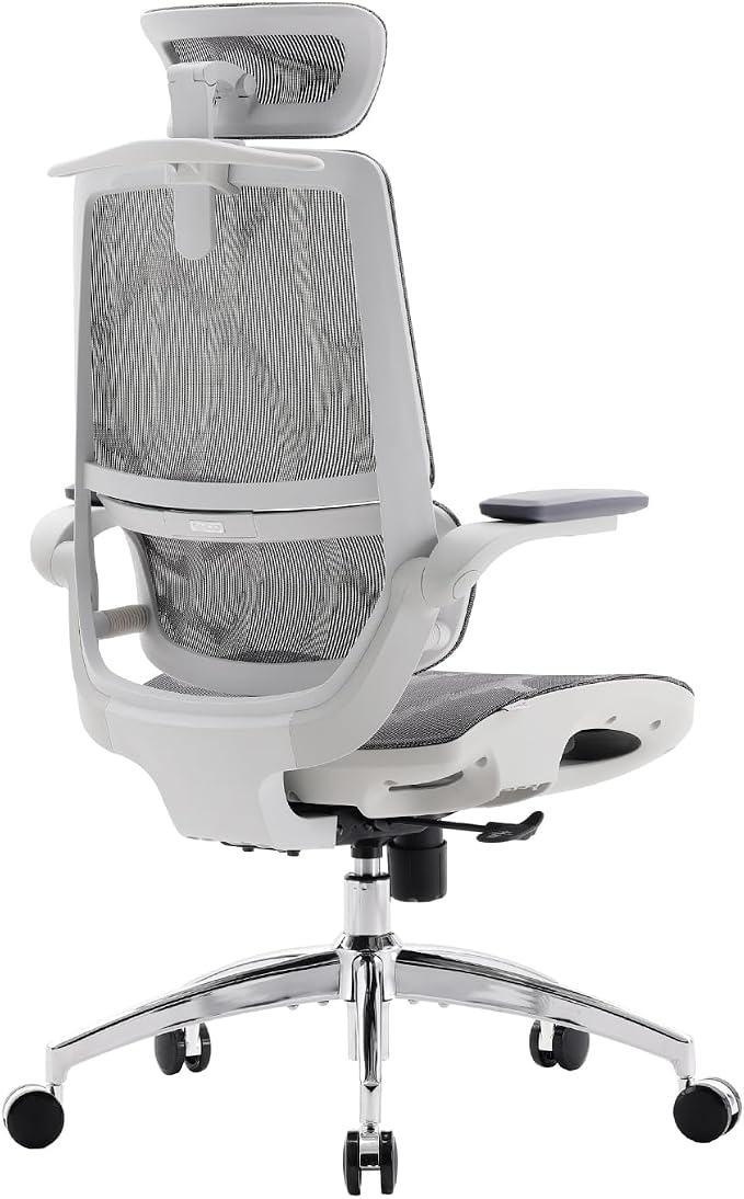 SIHOO M59AS Ergonomic Office Chair, Desk Chair with 3D Flip-up Armrests, Computer Chair with Dual Back Design and Adaptive Dynamic Lumbar Support Grey