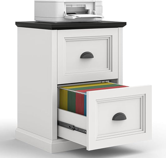 Halitaa Vertical File Cabinet, Filing Cabinet with 2 File Drawers, Farmhouse Small File Cabinet Fits Letter/A4 Size, Wooden Printer Stand, Under Desk Cabinets for Home Office, White and Black