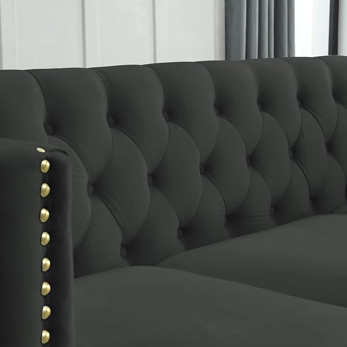 mikibama 58" Velvet Loveseat Sofa Couch for Living Room,Button Tufted 2 Seater Couches with Nailhead Trims,Modern Upholstered 2-seat Sofas with Golden Metal Legs for Bedrooom,Office