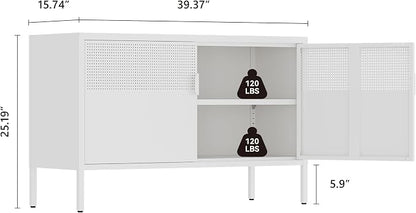 Metal Storage Cabinet,2 Door TV Stand, Metal Mesh Accent Cabinet,Magnetic Door Closure,Low Storage Cabinets with Doors and Shelf for Home,Office,Living Room