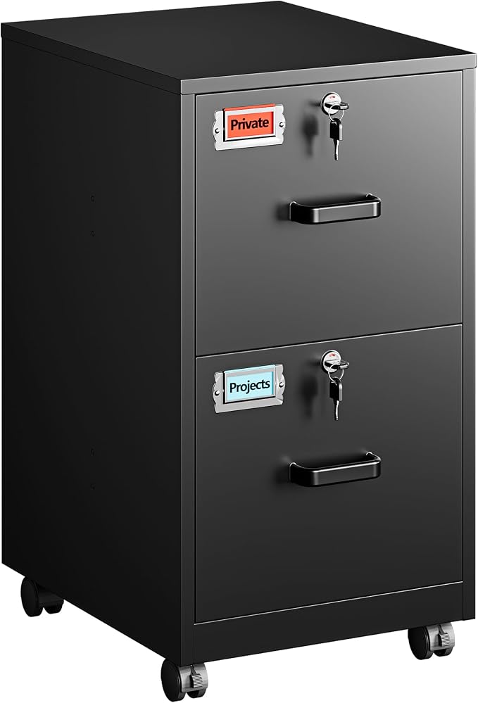 PEUKC 2 Drawers Mobile File Cabinet with Lock, Under Desk Rolling File Cabinet for Home Office, Organizes Letter Legal A4 Files, Black(Assembly Required)
