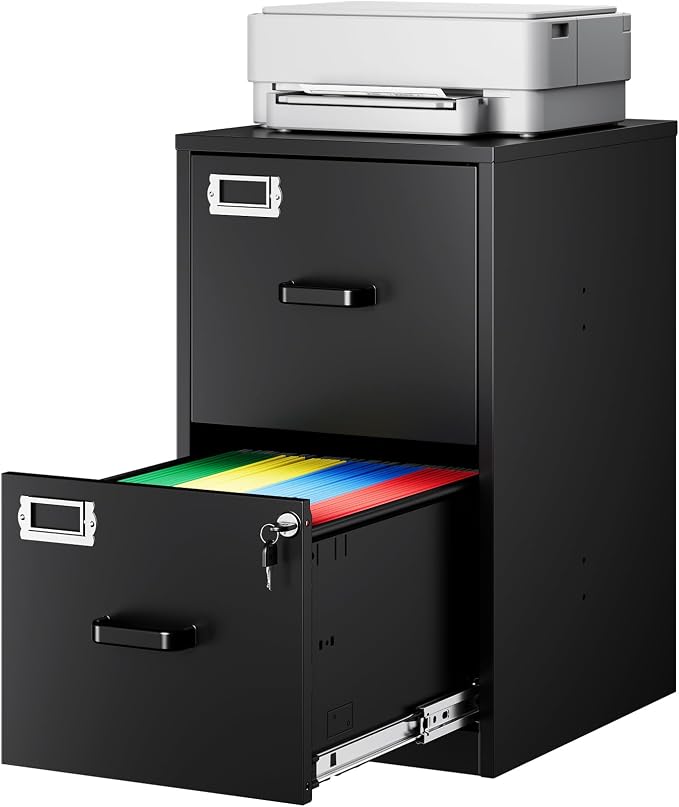 2-Drawer File Cabinet with Lock, Small Filing Cabinet Organizer for Hanging A4/Letter/Legal Size Folder, Under Desk Vertical Filing Cabinets for Home Office, Printer Stand, Black