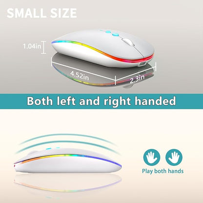 Halpilt LED Wireless Mouse A100S Rechargeable Portable Silent Mouse with Optional USB and Type-C Receiver 3-Speed Adjustable DPI for PC/Mac/Laptop (Frosted Silver)
