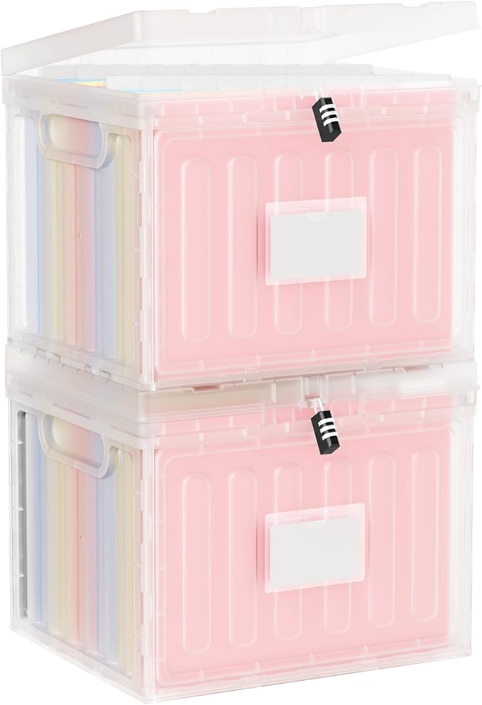 2 Drawer File Cabinets, Plastic File Box for Letter Size Hanging File Folders, Easy Carry Small File Cabinet for Home, Office, School,Stackable Storage Filling Box, Clear
