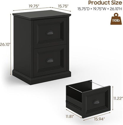 Halitaa Vertical File Cabinet, Filing Cabinet with 2 File Drawers, Farmhouse Small File Cabinet Fits Letter/A4 Size, Wooden Printer Stand, Under Desk Cabinets for Home Office, Black