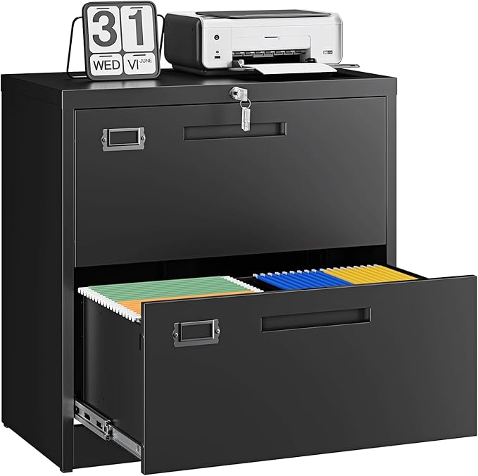 Letaya 2 Drawer File Cabinet with Lock,Metal Lateral Filing Cabinet for Home Office,Hanging Letter/Legal/A4 Size (Black, H27.95×W28.35×D15.74)
