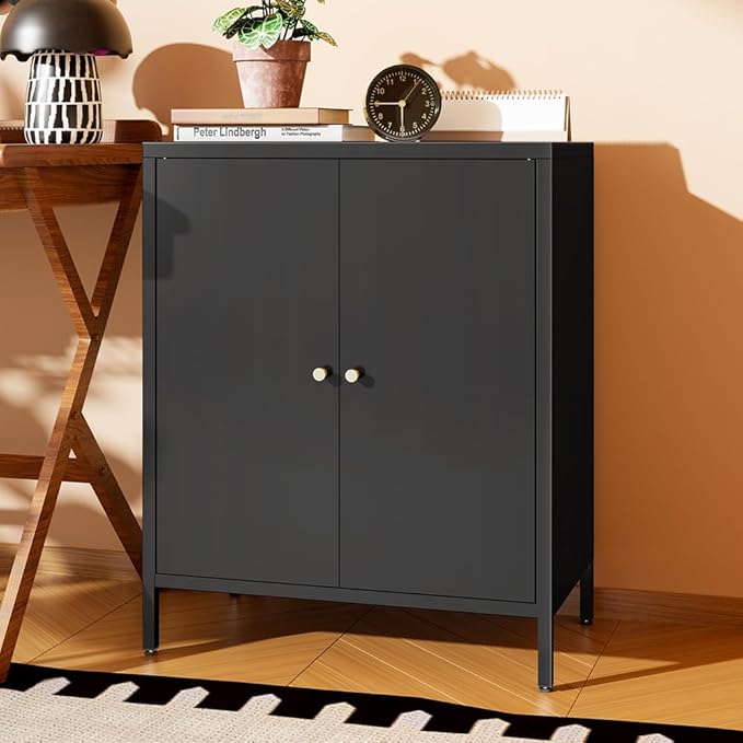 2 Door Metal Accent Storage Cabinet for Home, Living Room, Office Room,Kitchen-Metal Locker Cabinet with 1 Adjustable Shelves-2-Tier (Small 2 Door Cabinet, Black)