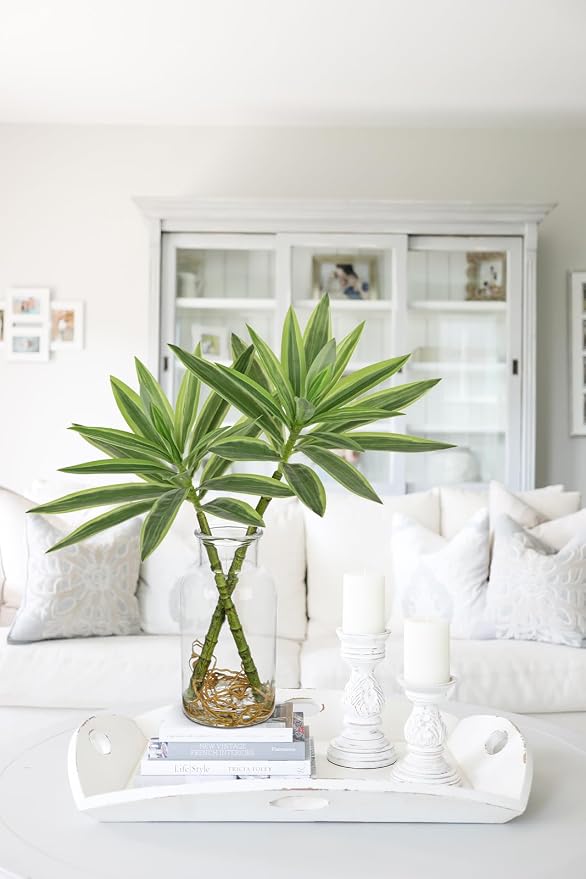 GnFlus Artificial Plants Stems in Glass Vase with Faux Water,Fake Silk Plant Dracaena Leaves for Centerpiece Table Decorations Farmhouse Wedding Home Greenery Decor (Green and Yellow)