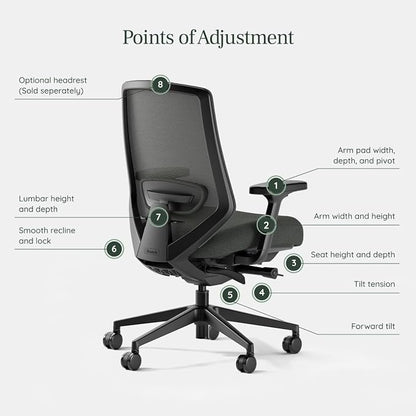 Branch Ergonomic Chair Pro - Mesh Office Chair with 14 Points of Adjustment - Height, Depth & Tilt Adjustable - 5D Armrests - Forward Tilt, Smooth Recline, and Lumbar Support - Everglade