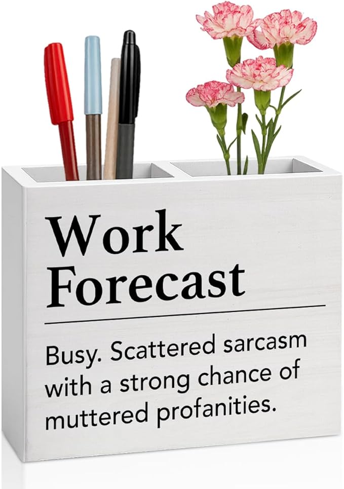 Funny Office Decor Humor Work Forecast Office Decoration Fun Desk Accessories Gifts for Women Men Coworkers Wooden Pencil Holder, Fun Gifts Desk Decor