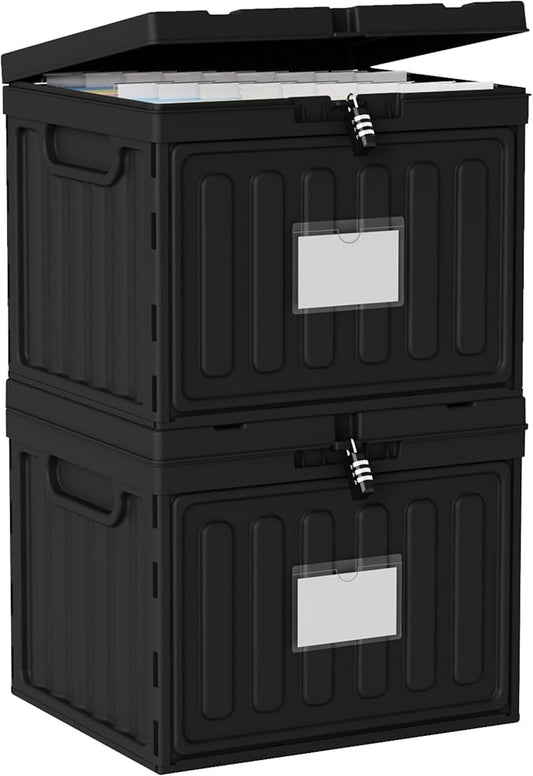 2 Drawer File Cabinets,Plastic File Box for Letter Size Hanging File Folders, Easy Carry Small File Cabinet for Home, Office, School,Stackable Storage Filling Box, Black
