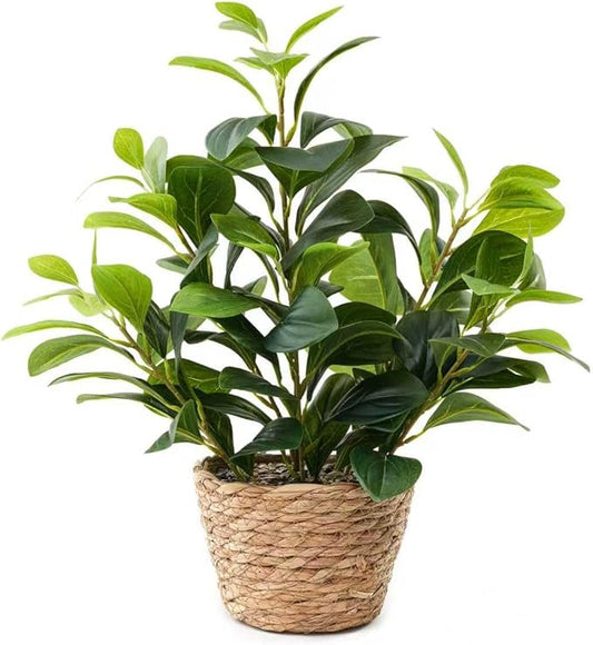 16 inch Artificial Peperomia Potted Plant in Woven Basket Planter Lifelike Two Tone Green Leaves Faux Indoor Branches for Home Office Desk Shelf Bathroom Table Decor