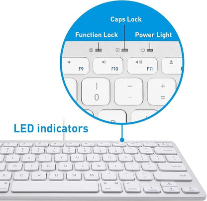 Macally Small Wired Keyboard for Mac and Windows - 78 Scissor Switch Keys Compatible Apple Keyboard - USB Mini Keyboard that Saves Space and Looks Great - Plug and Play Wired Mac Keyboard - Aluminum