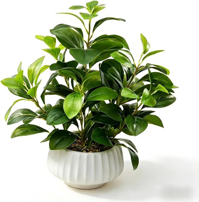 Artificial Peperomia Plants 16.5” Tall Lifelike Faux Greenery in 6” White Ribbed Ceramic Planter Realistic Indoor Fake Potted Plant for Home Office Desk Shelf Bathroom Bedroom Farmhouse Decor