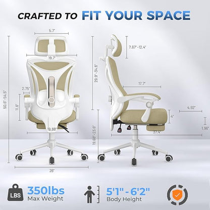 Ergonomic Office Chair - Adjustable Lumbar & Headrest, 90-160° Reclining with Footrest, Breathable Mesh Back - Home Office/Gaming Computer Chair (Modern, Light Grey)