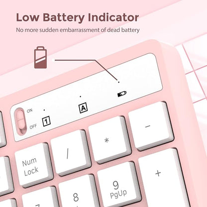 Wireless Keyboard and Mouse Combo, Lovaky 2.4G Full-Sized Ergonomic Keyboard Mouse, 3 DPI Adjustable Cordless USB Keyboard and Mouse, Quiet Click for Computer/Laptop/Windows/Mac (1 Pack, Pink)