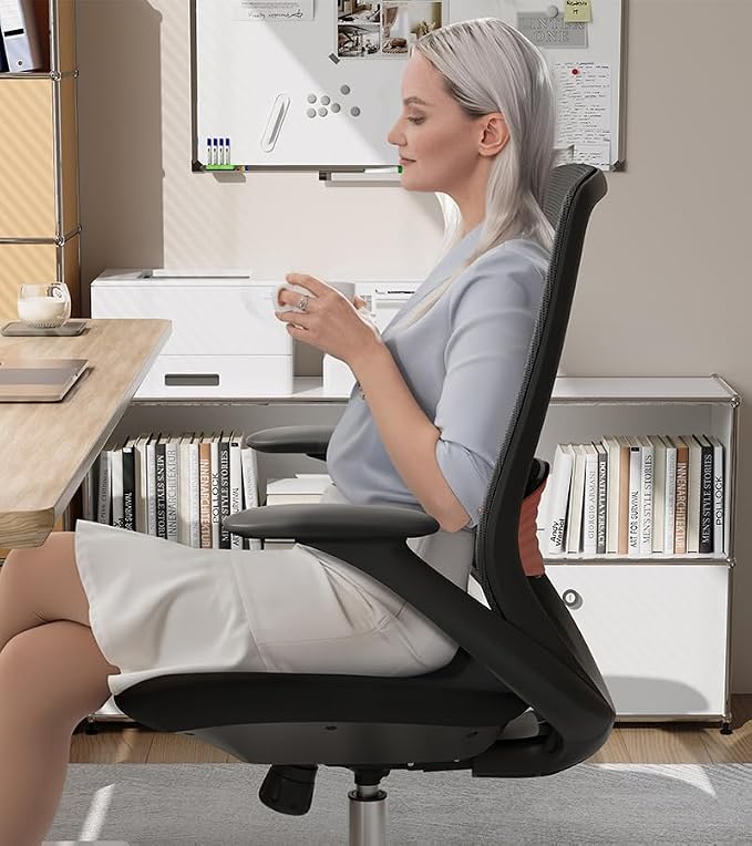 Ergonomic Office Chair, High-Back Mesh Executive Chair with Lumbar Support & 360° Adjustable Arms, Reclining Desk Chair with Tilt Lock for Home Office, Gaming, and Work, 300lb Capacity (Black)