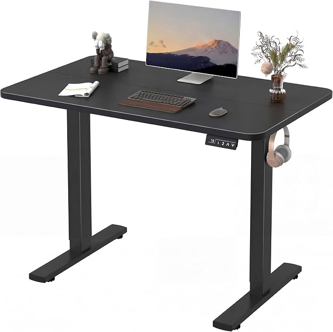 Furmax Electric Height Adjustable Standing Desk Large 48 x 24 Inches Sit Stand up Desk Home Office Computer Desk Memory Preset with T-Shaped Metal Bracket, Black