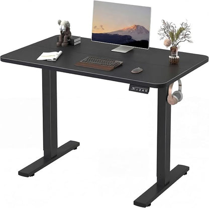 Furmax Electric Height Adjustable Standing Desk Large 48 x 24 Inches Sit Stand up Desk Home Office Computer Desk Memory Preset with T-Shaped Metal Bracket, Black