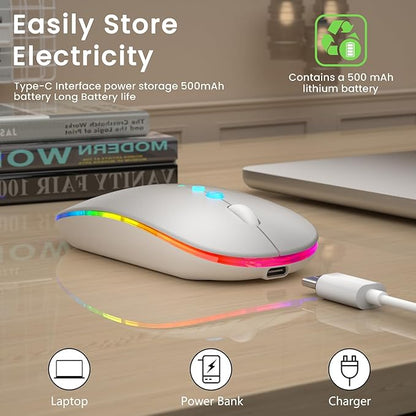 Halpilt LED Wireless Mouse A100S Rechargeable Portable Silent Mouse with Optional USB and Type-C Receiver 3-Speed Adjustable DPI for PC/Mac/Laptop (Frosted Silver)