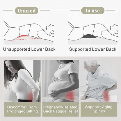 Lumbar Support Pillow for Office Chair, Ergonomic Memory Foam Back Cushion for Lower Back Support, Breathable Mesh Lumbar Cushion for Car Seat, Desk Chair & Long Sitting Relief