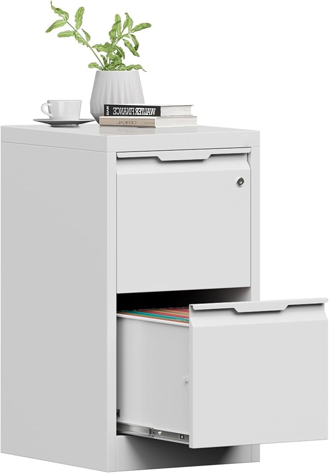 2 Drawer File Cabinet with Lock, Filing Cabinets for Home Office | Small File Cabinet Under Desk, Lockable File Cabinet, Metal File Cabinet for Letter/Legal/A4/F4 Size, Assemble Required