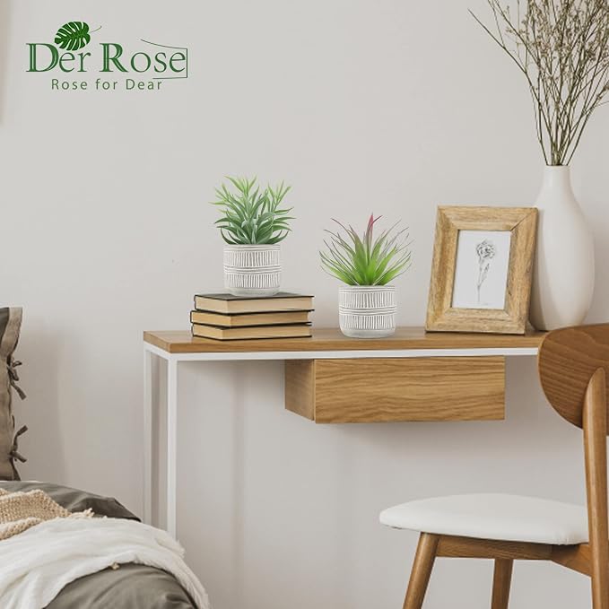 Der Rose 2 Pack Fake Succulents Plants Artificial Succulents in Pots for Room Home Bathroom Bedroom Office Boho Decor