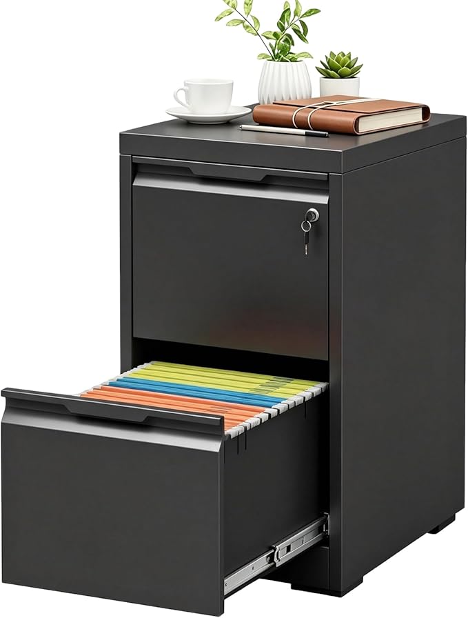 2 Drawer File Cabinet with Lock, Heavy Duty Steel Under Desk Vertical Filing Cabinet for Home Office Use, Printer Stand with Drawers, for A4/Letter-Size Files, Easy to Assemble,Black