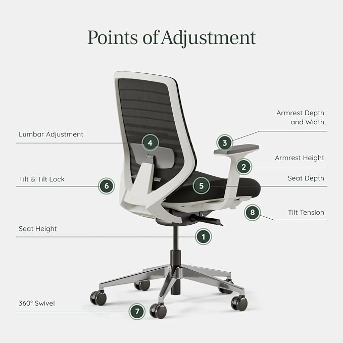Branch Ergonomic Chair - A Versatile Desk Chair with Adjustable Lumbar Support, Breathable Mesh Backrest, and Smooth Wheels - Experience Optimal Comfort and Support - Black