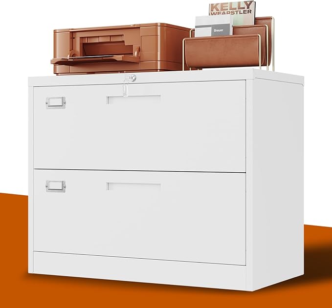 BYNSOE 2 Drawer Lateral File Cabinet Metal Filing Storage Cabinet with Lock Office Home Steel File Cabinet for A4 Legal/Letter Size File Cabinet Locked,Assembly Required (2 Drawer, White)