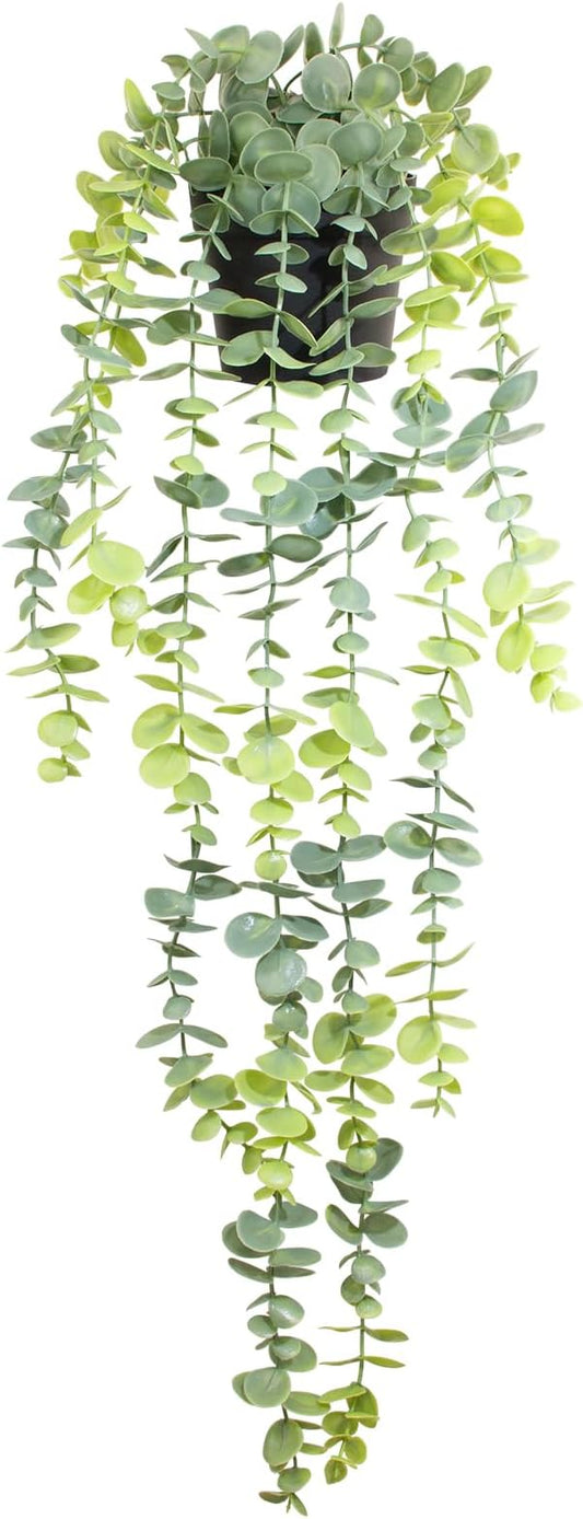 Artificial Hanging Eucalyptus Plant in Pot, 24" Fake Hanging Plants for Home Decor, Faux Hanging Greenery for Shelf Bathroom, Kitchen, Office, Wall, Bedroom, Indoor Decor