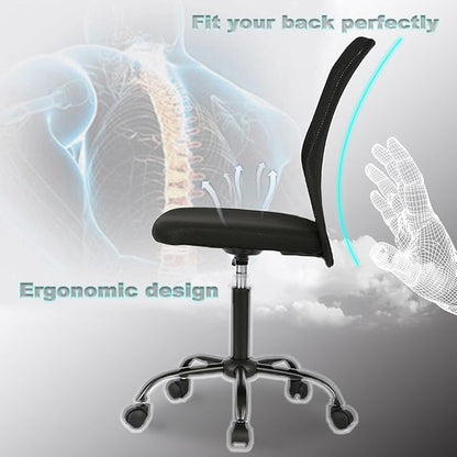 BestMassage Office Chair Cheap Desk Chair Mesh Computer Chair with Lumbar Support No Arms Swivel Rolling Executive Chair for Back Pain,Black 1 Pack