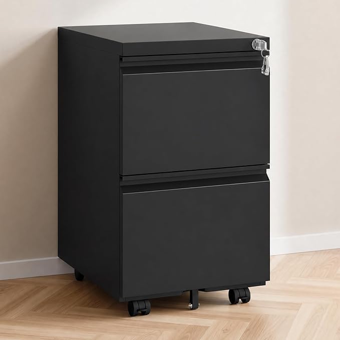 2 Drawer File Cabinet with Lock,Rolling Filing Cabinet with Wheels for Home Office,Under Desk Metal File Cabinet,Office Storage Organizer,Black