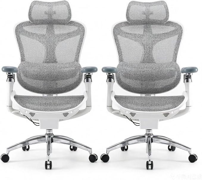 SIHOO Doro C300 Pro Ergonomic Office Chair with Ultra-Soft 6D Armrests, Dynamic Lumbar Support, Seat Depth Adjustment, Adjustable Backrest, Big and Tall Desk Chair 2 Packs (Grey)