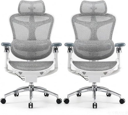 SIHOO Doro C300 Pro Ergonomic Office Chair with Ultra-Soft 6D Armrests, Dynamic Lumbar Support, Seat Depth Adjustment, Adjustable Backrest, Big and Tall Desk Chair 2 Packs (Grey)