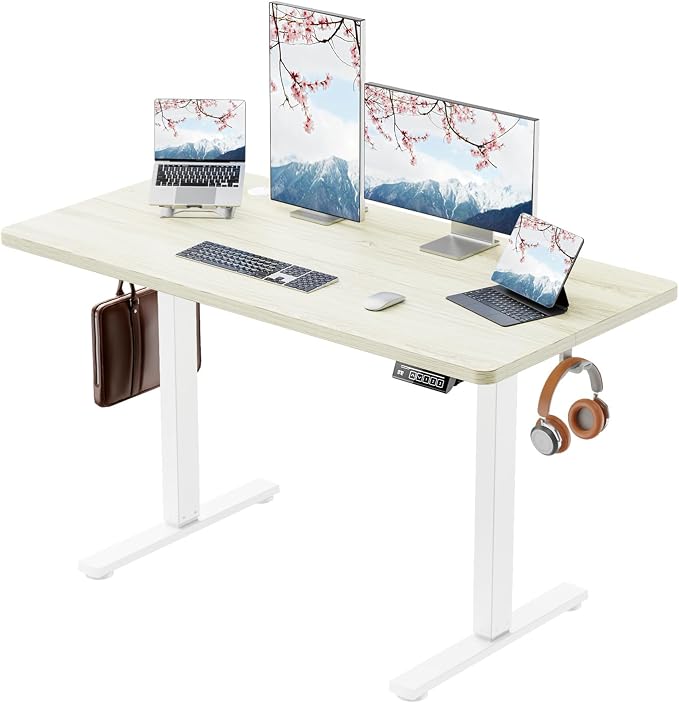 Standing Desk Electric Height Adjustable Desk 48 x 23.6 Inches Sit Stand up Desk, Computer Home Office Desk Memory Preset with Two-Piece Desktop (Natural, 48 * 24 Inch)