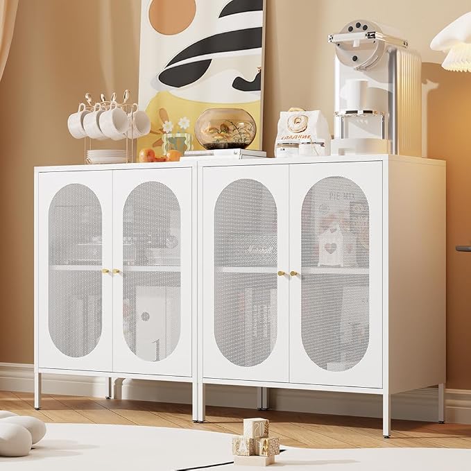 Small 2 Mesh Door Metal Storage Cabinet for Pantry,Office Room,Kitchen,Bathroom,Living Room, Hallway-Locker Cabinet with 1 Adjustable Shelf(mesh Door, White)