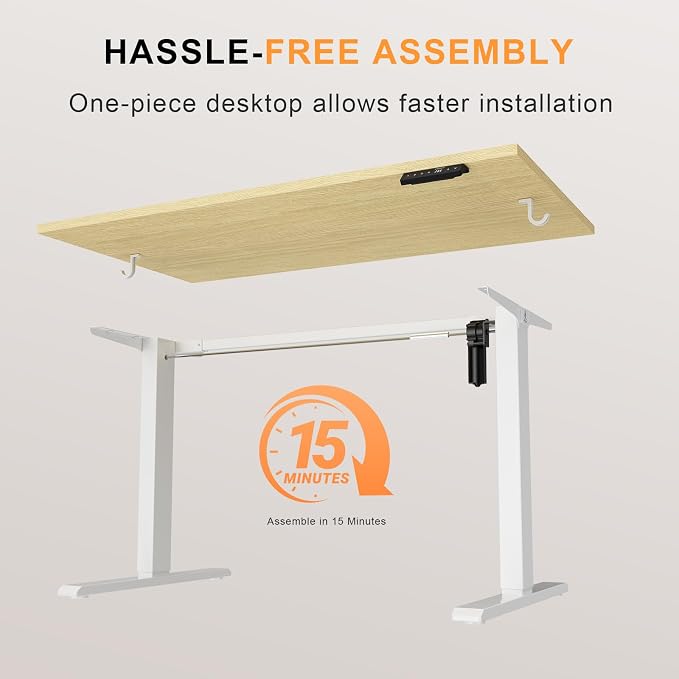 WALKINGDESK 48x24 Inches Whole Piece Electric Standing Desk, Seamless One Piece Height Adjustable Sit to Stand up Desk for Home Office, Ergonomic Computer Workstation, Oak