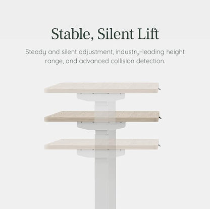 Branch Duo Standing Desk 48 Inches - Adjustable Standing Desk with 20” Range - OLED Control Panel - Frameless Design & Compact Size Suitable for Many Spaces - White Base - Walnut Top