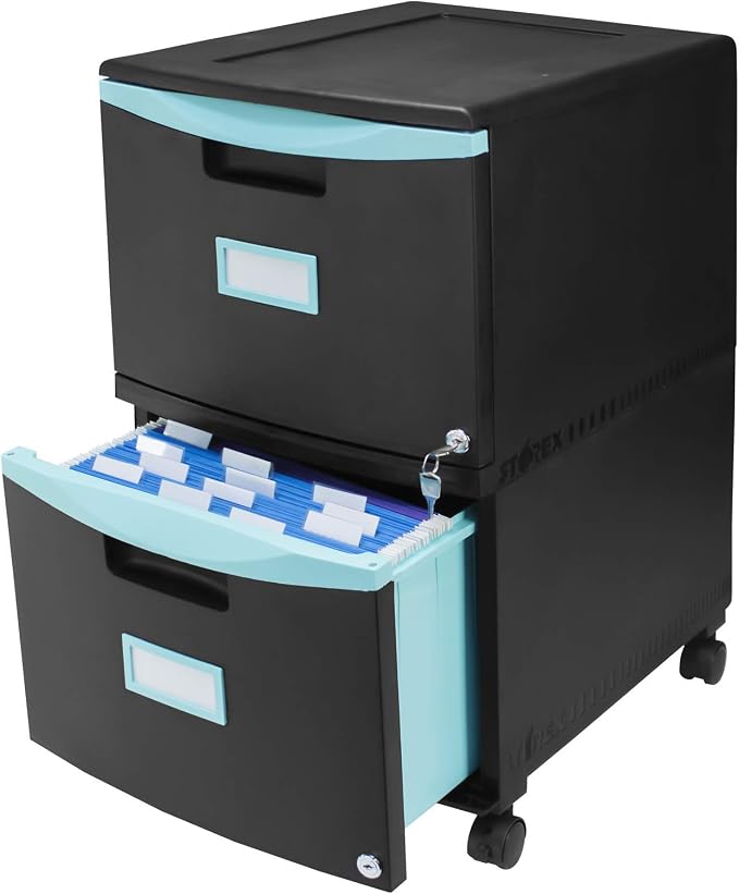 Storex Plastic Two-Drawer Mobile Pedestal File Cabinet – Locking Document Organizer with Casters for Home and Office, Black, 1-Pack (61315C01C)
