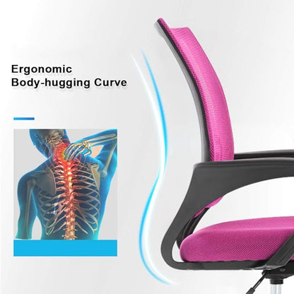 Office Chair Desk Chair Computer Chair Ergonomic Executive Swivel Rolling Chair with Lumbar Support,2 Pack
