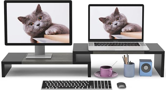 WESTREE Dual Monitor Stand Riser - 2 Shelf Computer Stand with Adjustable Length and Angle, Desktop Organizer for 2 Monitors