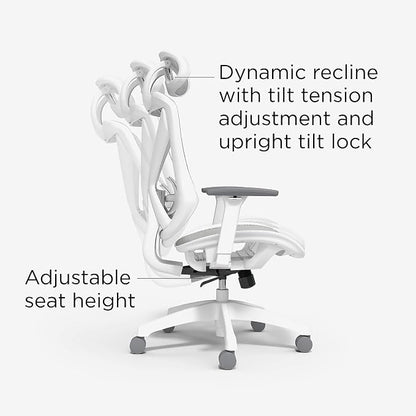STAPLES Ergonomic Task Chair, Mesh, Ergonomic, Lumbar Support, Gray