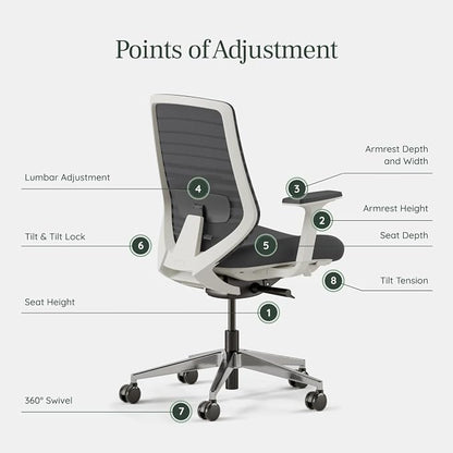 Branch Ergonomic Chair - A Versatile Desk Chair with Adjustable Lumbar Support, Breathable Mesh Backrest, and Smooth Wheels - Experience Optimal Comfort and Support - Graphite - White