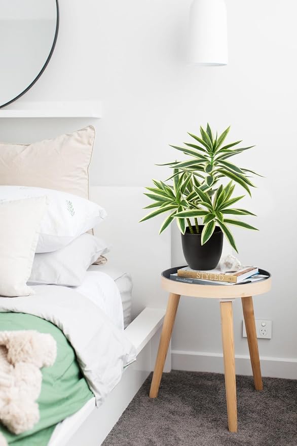 Faux Plants 16.1" Dracaena Artificial Plant Realistic Fake Plants in Pot Small Indoor Plants Fake Potted Plants Artificial Decor for Home Living Room Bathroom Office House Table Desk Shelf, Green