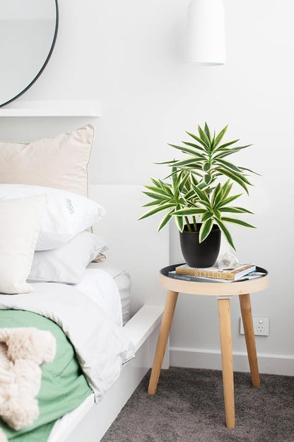 Faux Plants 16.1" Dracaena Artificial Plant Realistic Fake Plants in Pot Small Indoor Plants Fake Potted Plants Artificial Decor for Home Living Room Bathroom Office House Table Desk Shelf, Green