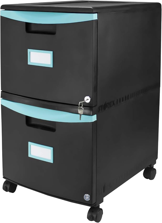 Storex Plastic Two-Drawer Mobile Pedestal File Cabinet – Locking Document Organizer with Casters for Home and Office, Black, 1-Pack (61315C01C)