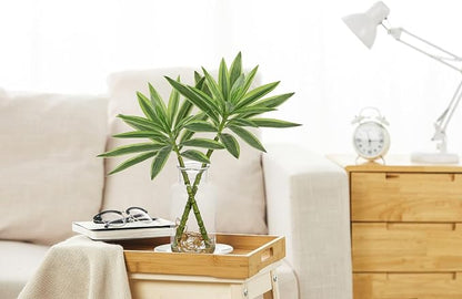 GnFlus Artificial Plants Stems in Glass Vase with Faux Water,Fake Silk Plant Dracaena Leaves for Centerpiece Table Decorations Farmhouse Wedding Home Greenery Decor (Green and Yellow)