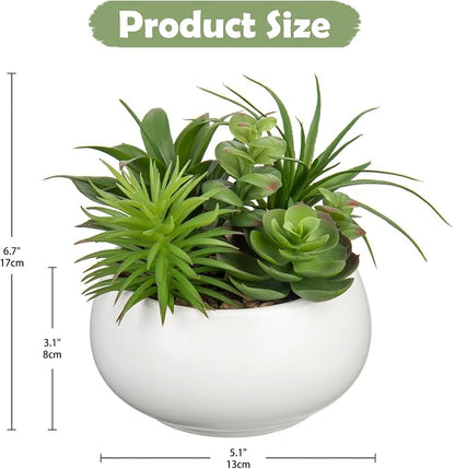 Hollyone Fake Plants Artificial Succulents in Pots Faux Succulent Arrangement Potted Plant in White Ceramic Planter Bowl for Home Decor Office Desk Bathroom Shelf Living Room Indoor Decorations